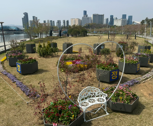 세종호수공원 사계절초화원 조성 모습