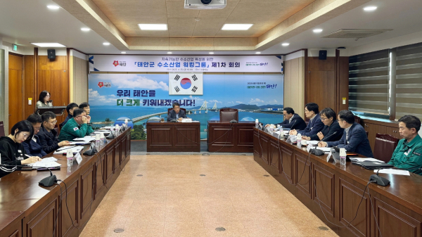 지난 25일 군청 소회의실에서 열린 수소산업 워킹그룹 회의 모습.