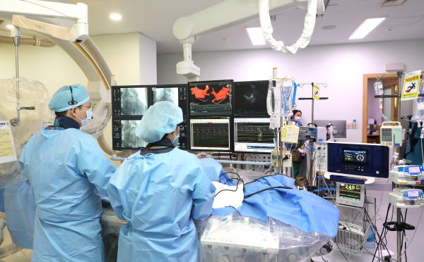 단국대병원 펄스장절제술