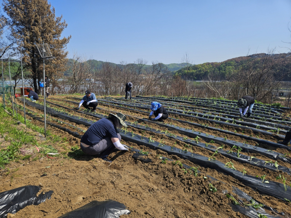 신탄진농협, 안동시 산불피해 농가 일손지원 봉사 모습