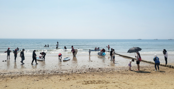 지난해 개최된 제1회 반려동물 해변운동회 모습.(댕댕 패들보드)