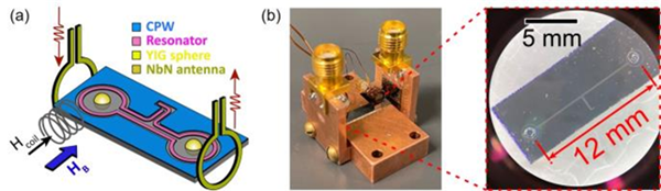초전도 회로 기반 마그논-광자 하이브리드 시스템