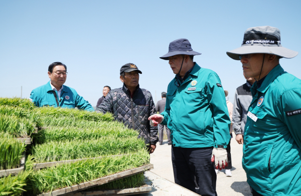 지난 7일 이원면 포지리의 한 논에서 모내기를 실시하는 모습.