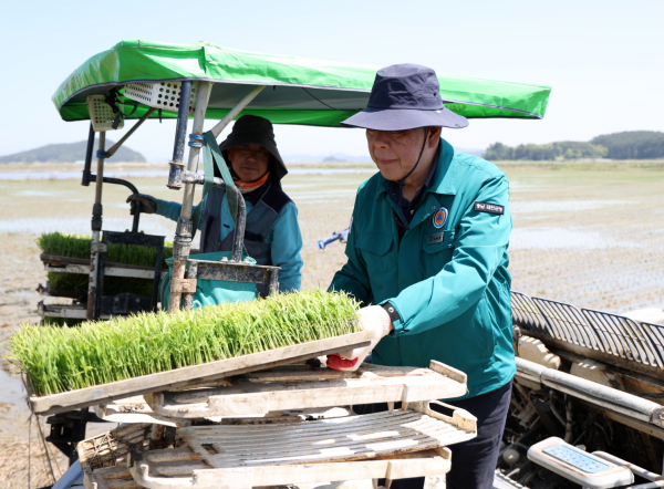 지난 7일 이원면 포지리의 한 논에서 모내기를 실시하는 모습.