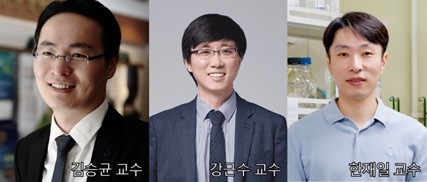 충남대 김승균 교수 공동 연구팀
