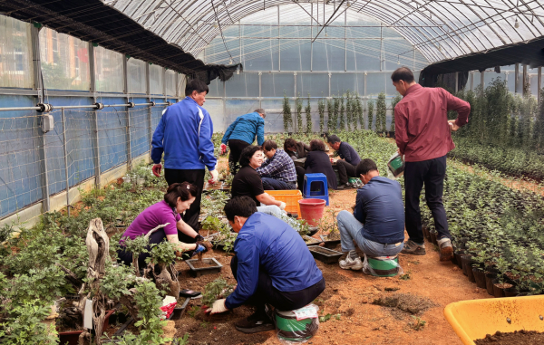 서산국화축제추진위원회가 제25회 서산국화축제를 준비하는 모습