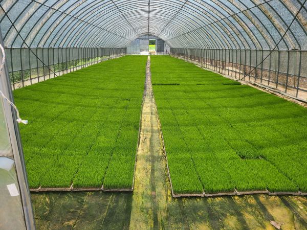 모 알선창구 운영