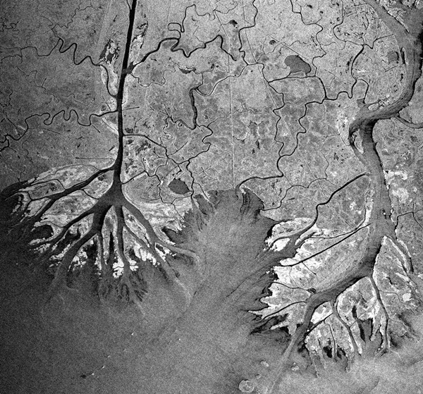 차세대소형위성2호가 미국 루이지애나주 아차팔라야강 일대 촬영한 모습