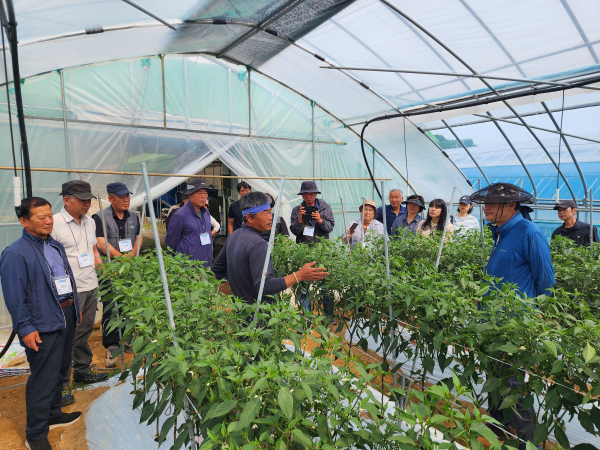 예비 귀농들이 전문 영농기술 현장 교육을 받는 모습