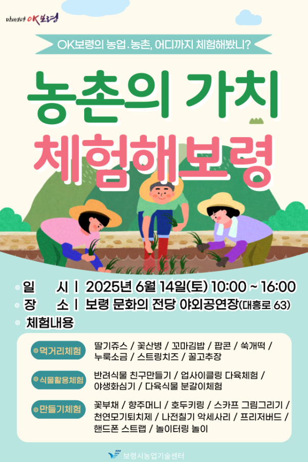 농촌의 가치, 체험해보령 포스터