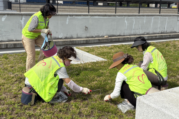 옥상정원 환경정돈 봉사 모습