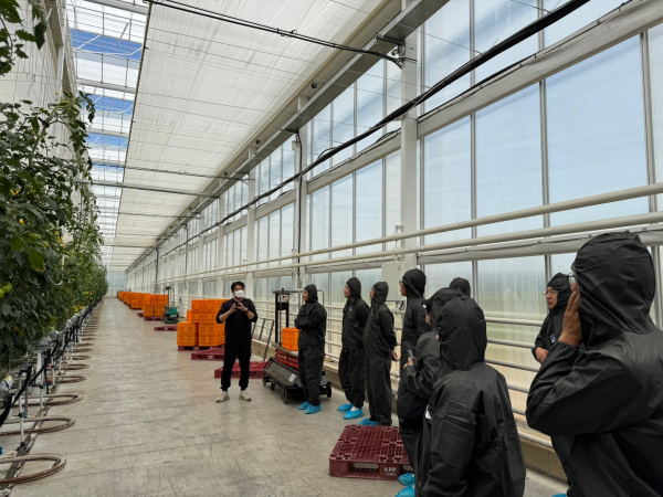 태안군 컬티랩스 토마토 스마트팜 농가에서 운영 기술에 대한 설명을 듣는 모습