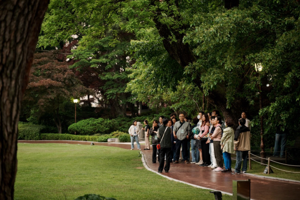 청와대 내 수목 환경을 활용한 산림치유 프로그램 운영.