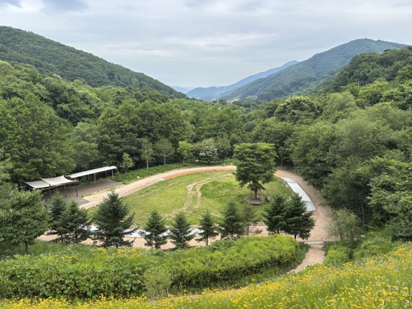 국립산림치유원 문필마을 내 ‘탄소중립 마을 숲’에 ‘맨발건강길’ 조성 모습