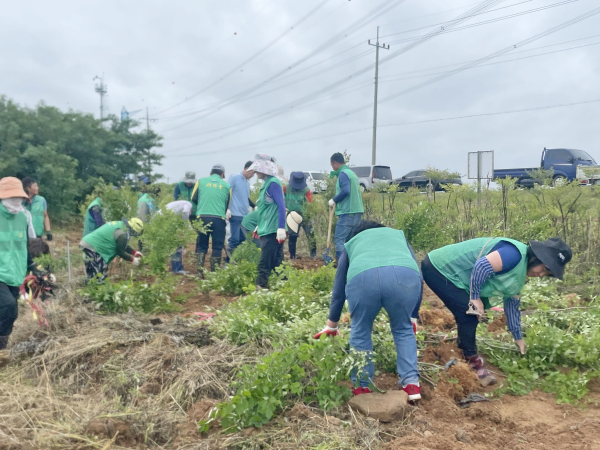 삽교호 야생생물 서식지 종성 나무심기 행사 모습