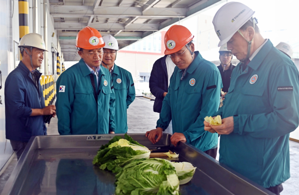 김포 농산물비축기지 배추 품위점검 현장사진