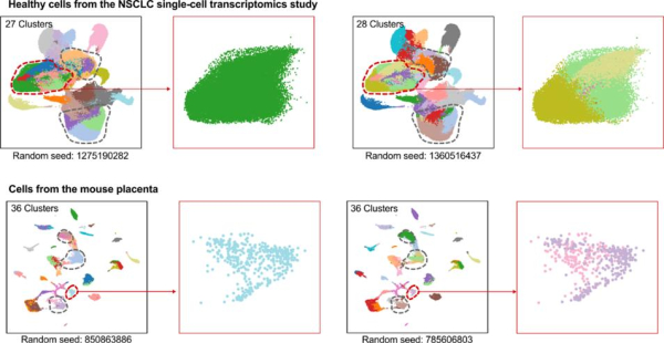클러스터링 알고리즘의 무작위성에 따른 분석 결과 변동성
