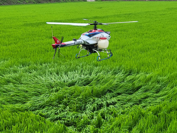 벼 병해충 항공 공동방제 사진