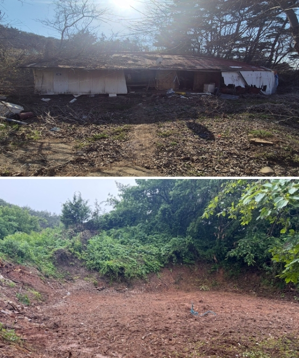 안면읍 빈집정비 모습(전·후).