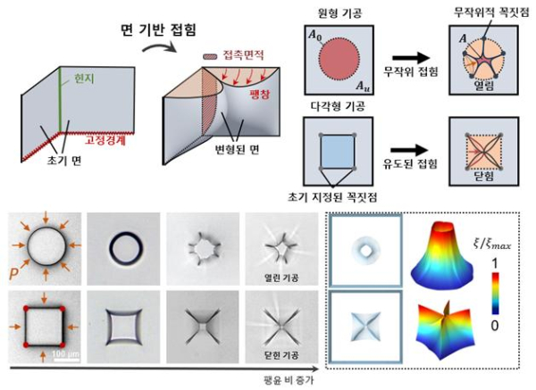 하이드로젤 미세 기공의 변형 메커니즘 모식도 및 실험·시뮬레이션 결과