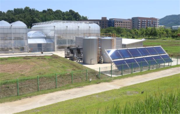 복합열원을 적용한 온실 3중 열병합발전 시스템 실증 시험 현장