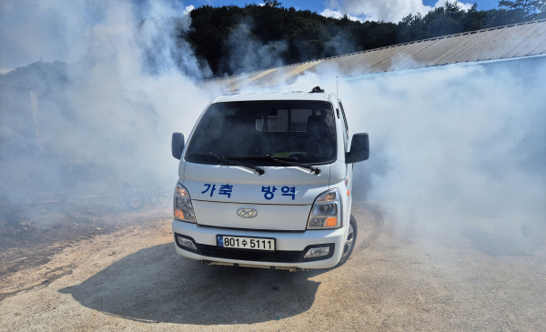 지난 21일 운산면 일원 축산 농가 대상으로 진행된 선제 방역