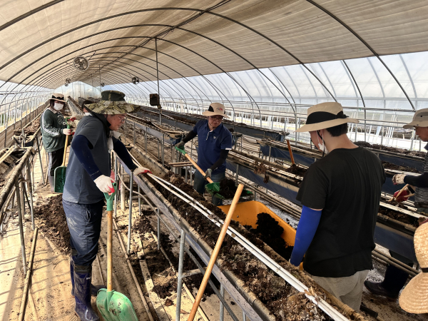 당진시 정미면을 찾아 수해복구 봉사활동 모습