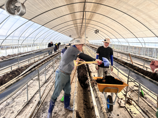 당진시 정미면을 찾아 수해복구 봉사활동 모습