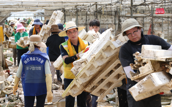 대전 동구 자원봉사자들이 예산군 수해복구 현장에서 봉사활동을 하고 있다