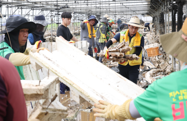 대전 동구 자원봉사자들이 예산군 수해복구 현장에서 봉사활동을 하고 있다