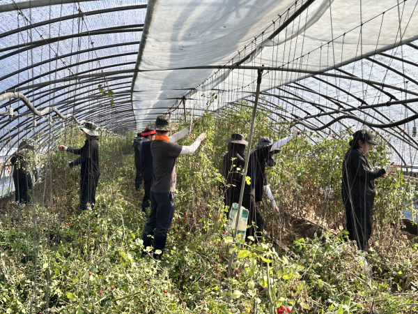 예산 수해 현장 복구 지원 봉사 모습