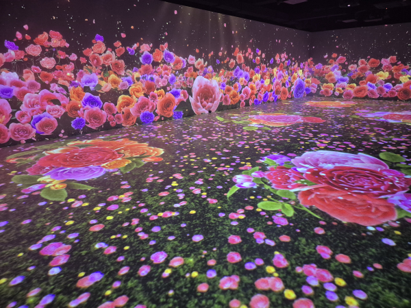 디지털실감영상관