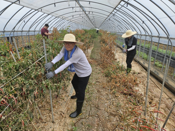한효진 수해복구 현장 봉사 모습
