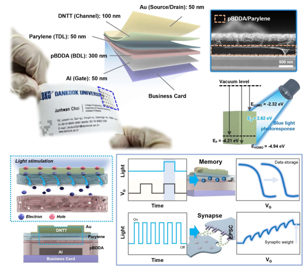 종이 명함에 제작된 차세대 AI반도체의 정보 저장 및 인공 시냅스 기능
