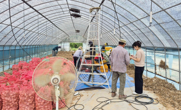 지난 6월 30일 계절근로자 투입 농가에서 진행된 현장점검 모습.