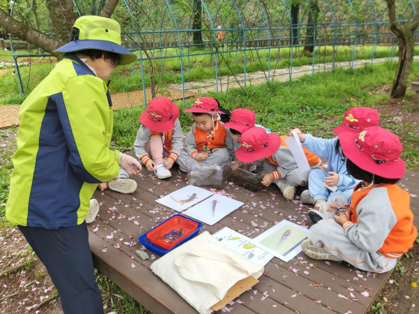 대덕구 유아숲체험원 프로그램 활동 진행 모습