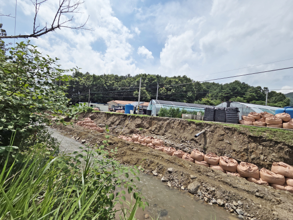 대치면 상갑리의 농소소하천 모습