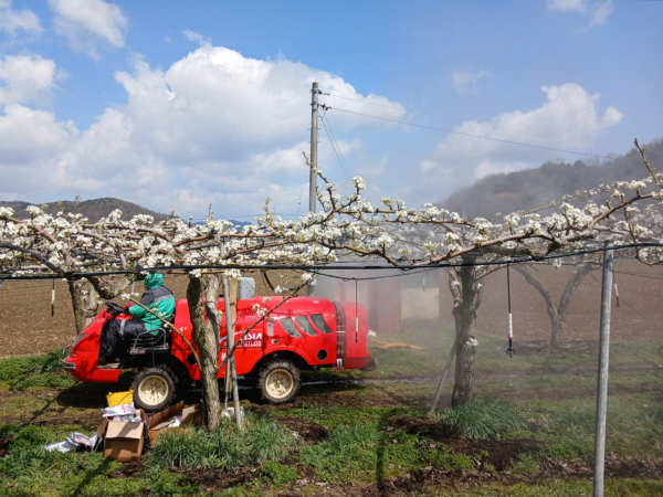 2026년 원예작물 병해충 방제약제 무상지원