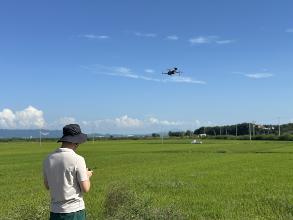 서산시 드론 면허를 소지한 직원이 드론을 활용해 온열질환 인명피해가 예상되는 논, 밭 등을 점검하는 모습