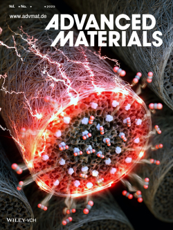 Advanced Materials 내부 표지논문 그림