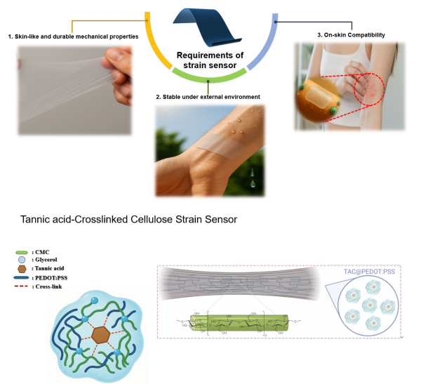 국립한밭대학교 창의융합학과 성백상 박사과정생의 연구 모식도