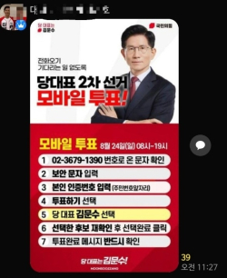 국민의힘 A 당협위원장이 당 대표 결선투표를 앞두고 당협 관계자들 단톡방에 올린 이미지 갈무리.