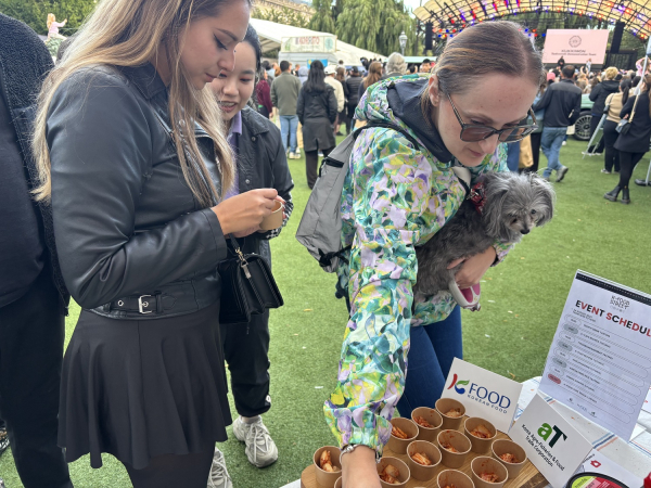 한국문화축제 ‘K-푸드 스트리트’ 홍보 부스 현장