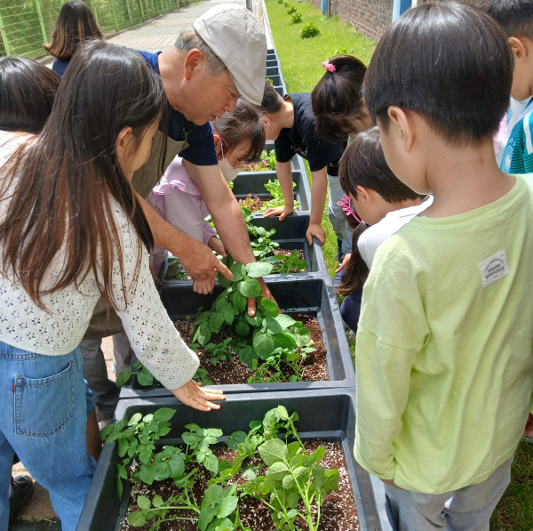 지난 5월 대산초등학교에서 진행된 늘봄학교 연계 농촌 체험 프로그램
