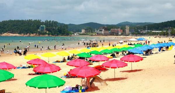 올해 만리포 해수욕장 모습(25. 7. 5.).