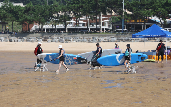 지난해 9월 만리포에서 진행된 반려동물 패들보드 체험 모습.