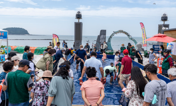 지난해 전어잡기 체험 모습