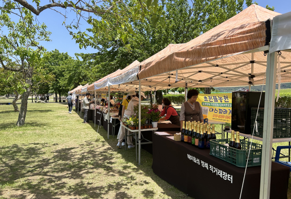 지난해 해미읍성 내부에서 진행된 정례 직거래장터