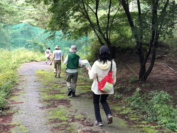 지난 4일 연수 참가자들이 국립춘천숲체원의 오리엔티어링 코스에서 나침반과 지도를 활용해 경로를 탐색하고 있다.