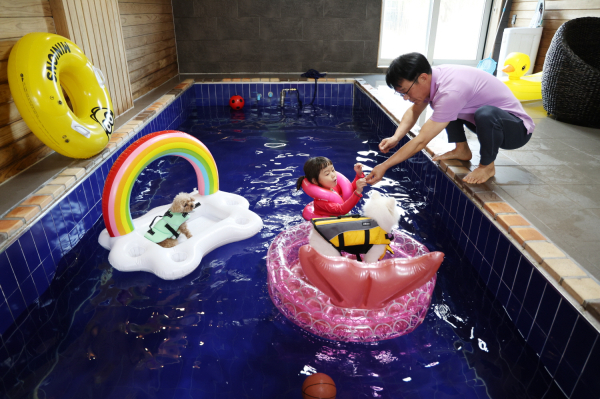 남면의 한 반려동물 동반 숙박업소(펜션) 모습.